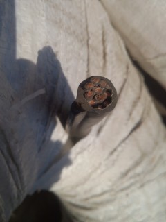 ��䓽z늄Ӻ��J��|